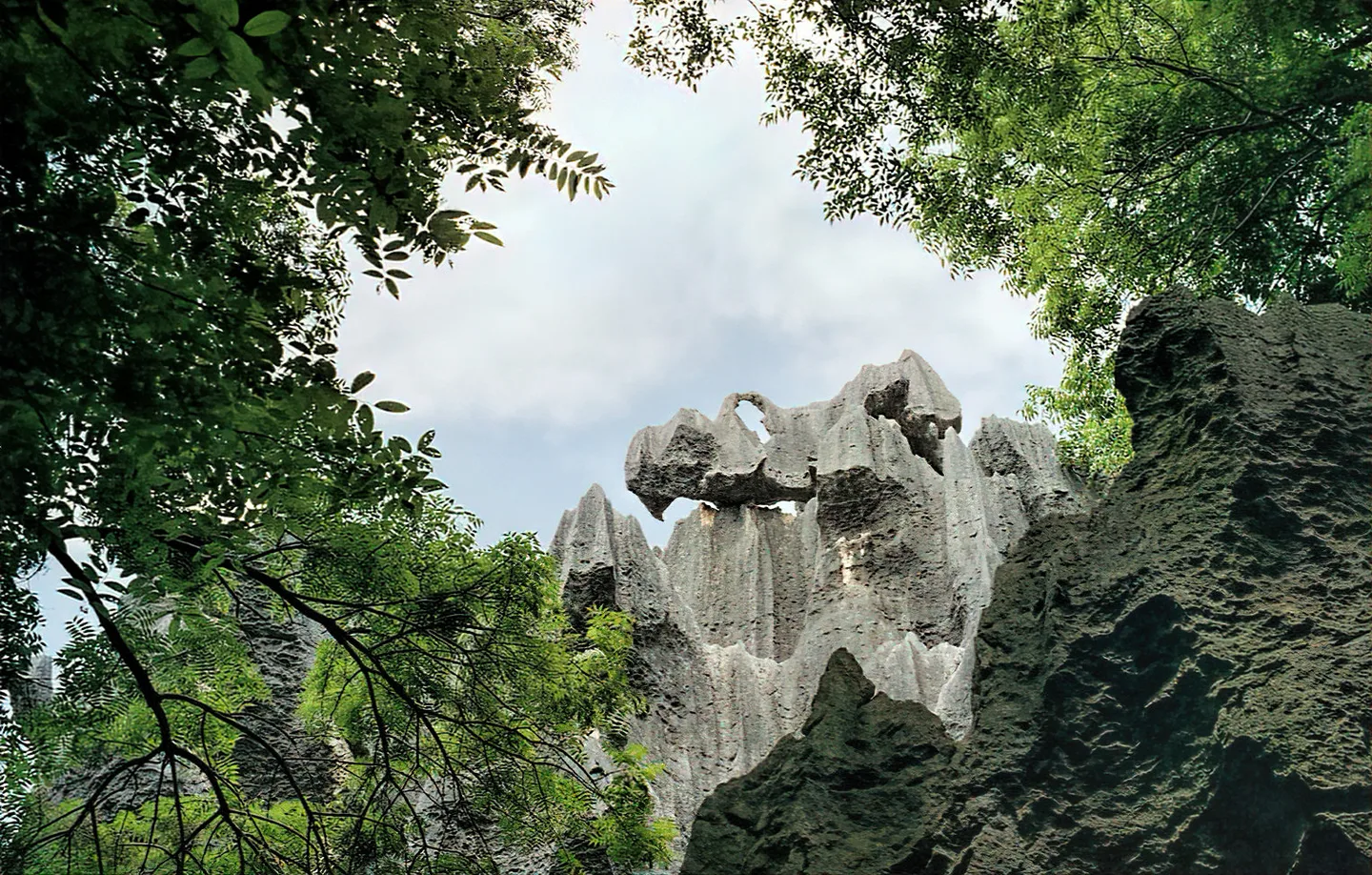 昆明—石林—滇池·福保半岛—楚雄长街宴