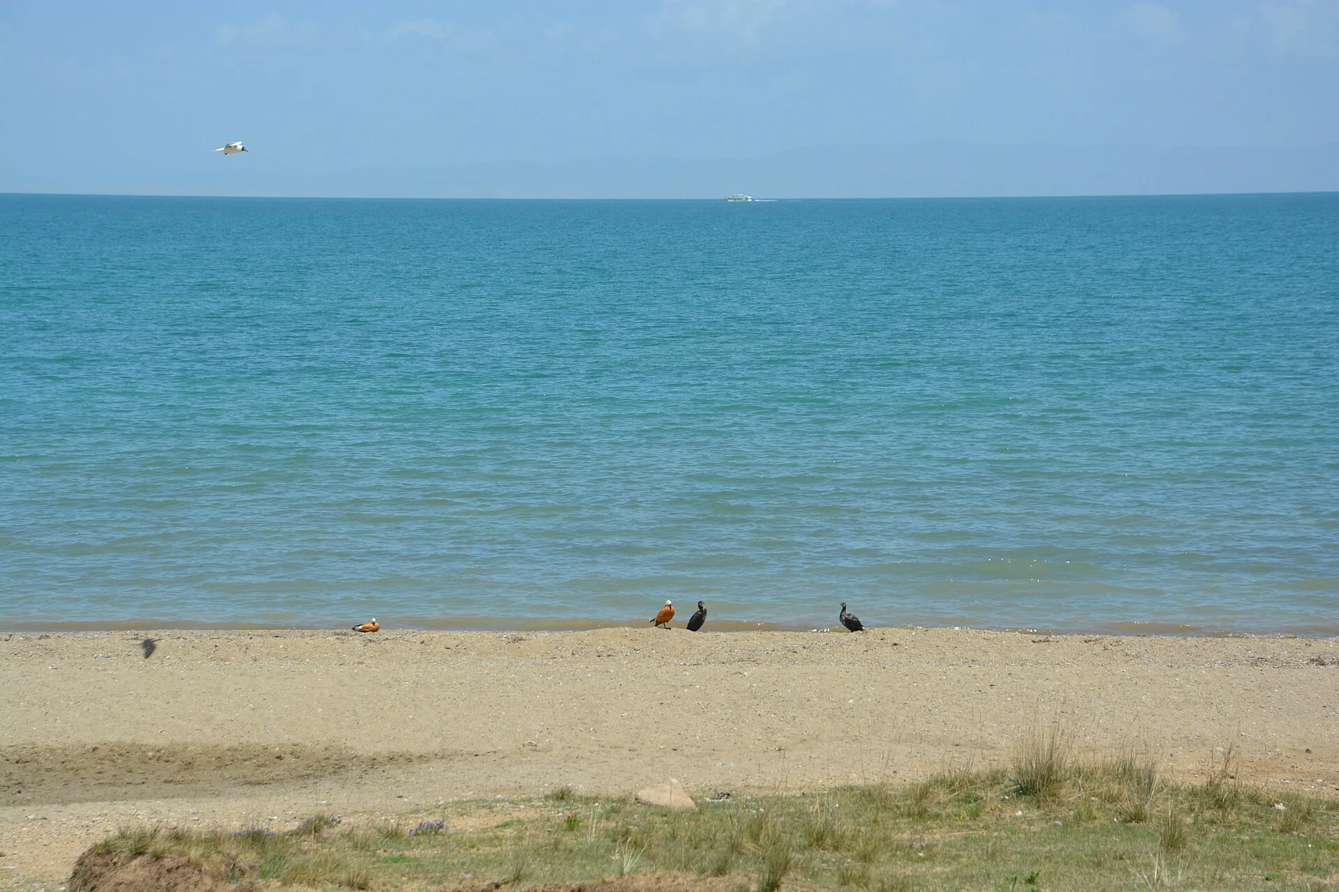7月最佳旅行地：青海湖骑行封面