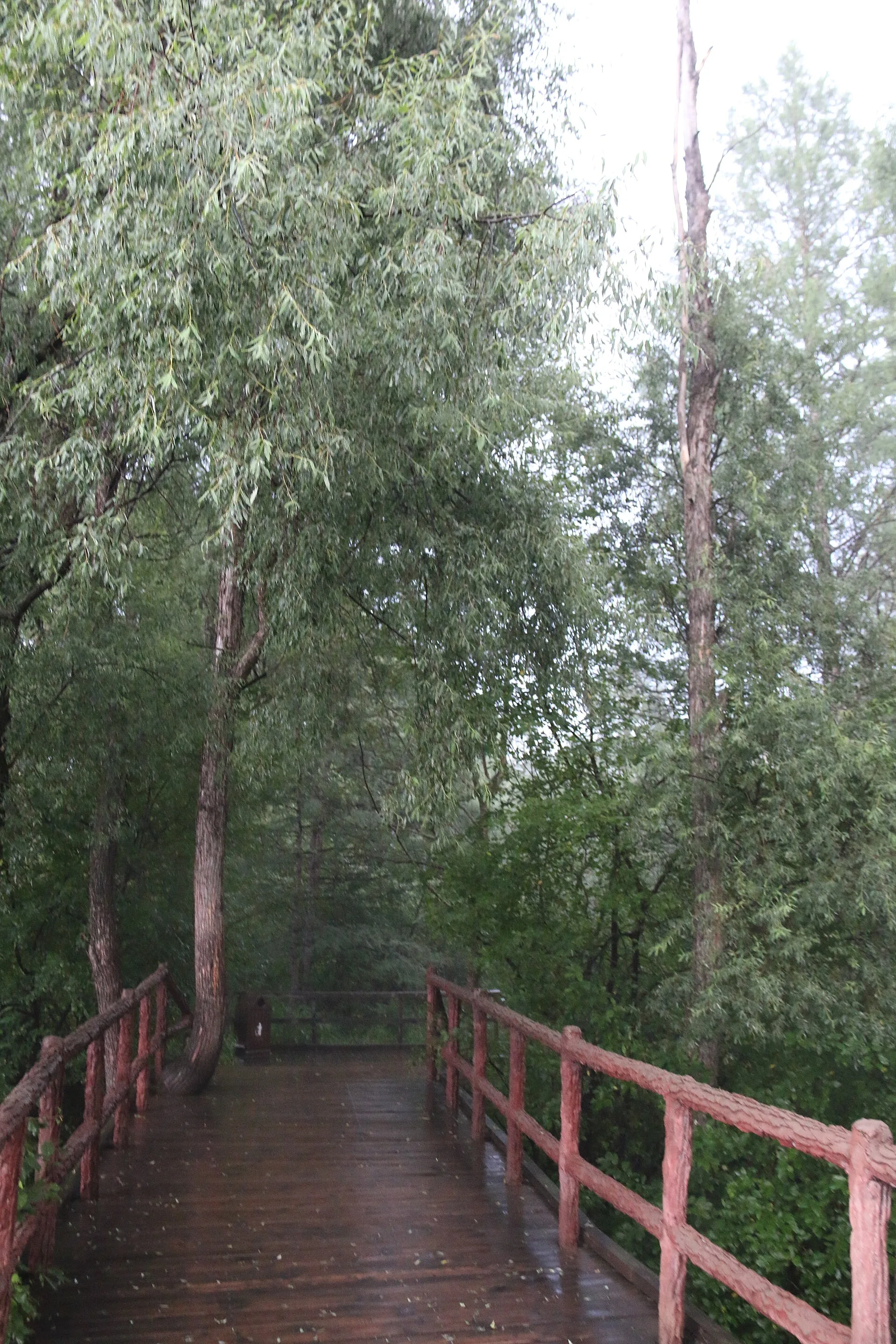 8月最佳旅行地：呼伦贝尔草原封面