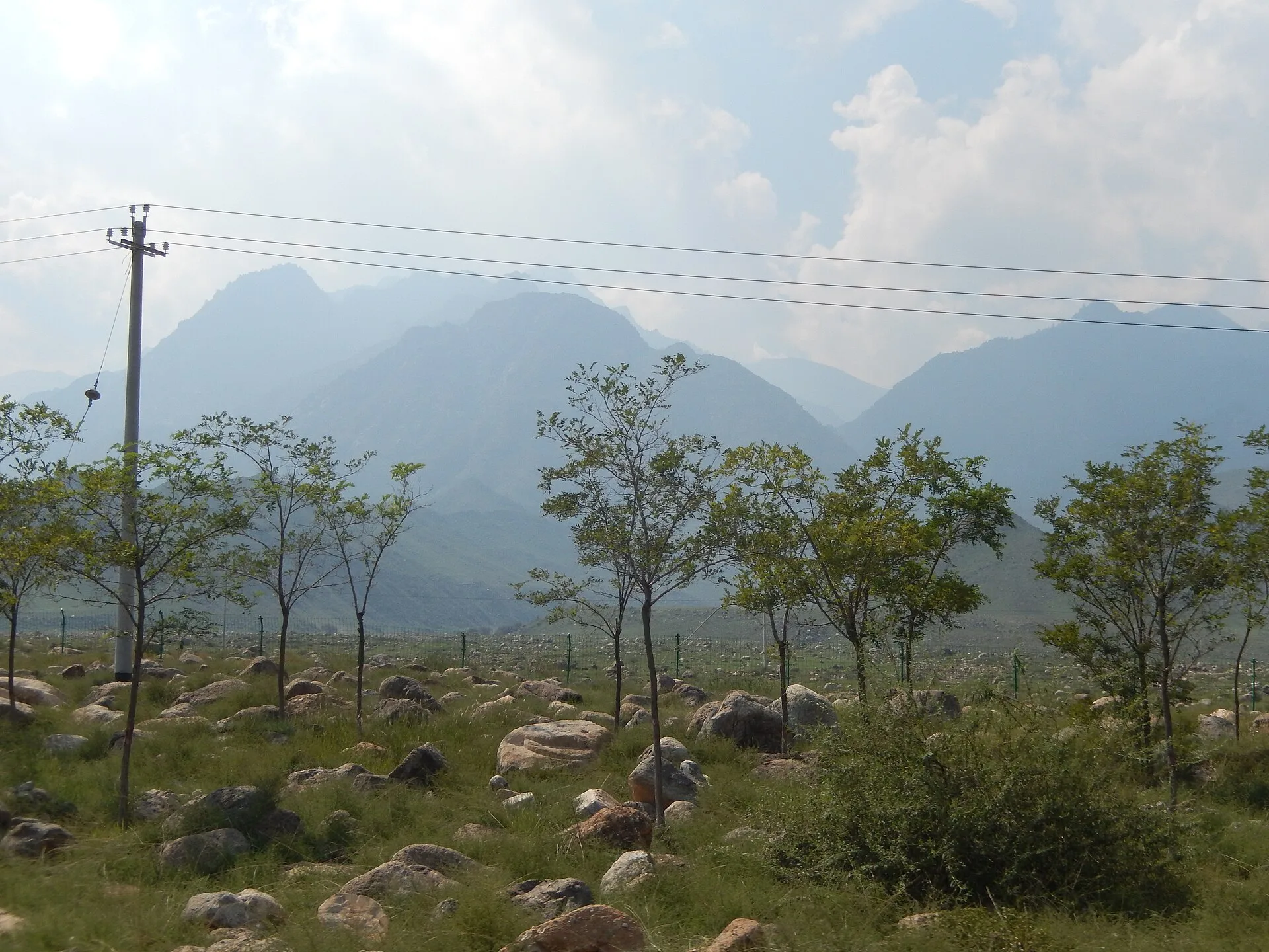 夏天去内蒙古草原怎么玩：三条草原线对比封面