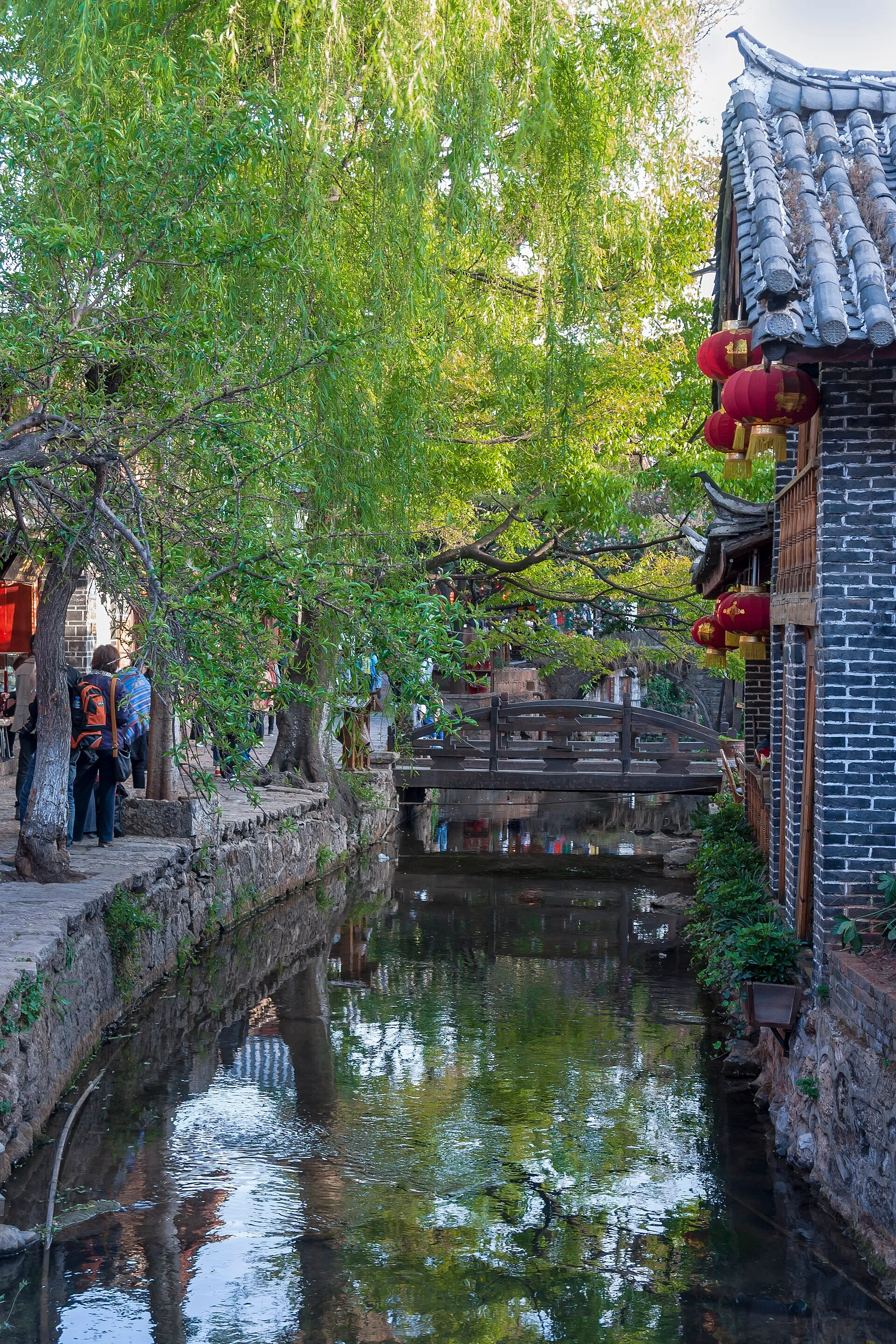 11月最佳旅行地：腾冲银杏村封面