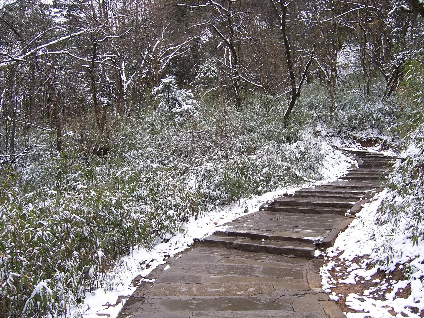 西南滑雪怎么选：西岭雪山、峨眉山与玉龙雪山 2