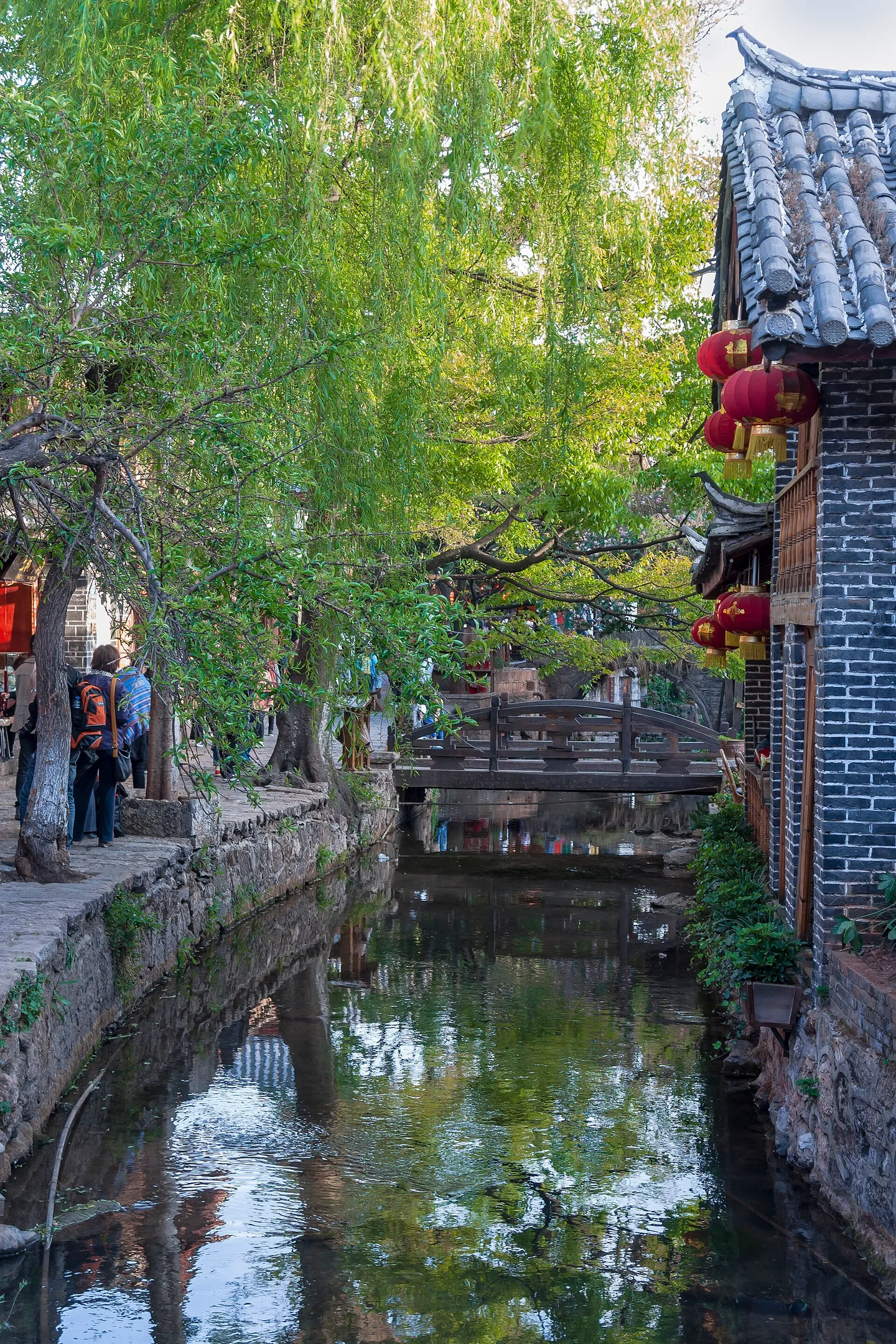 带父母去云南怎么安排：多代慢游与香格里拉海拔取舍 4