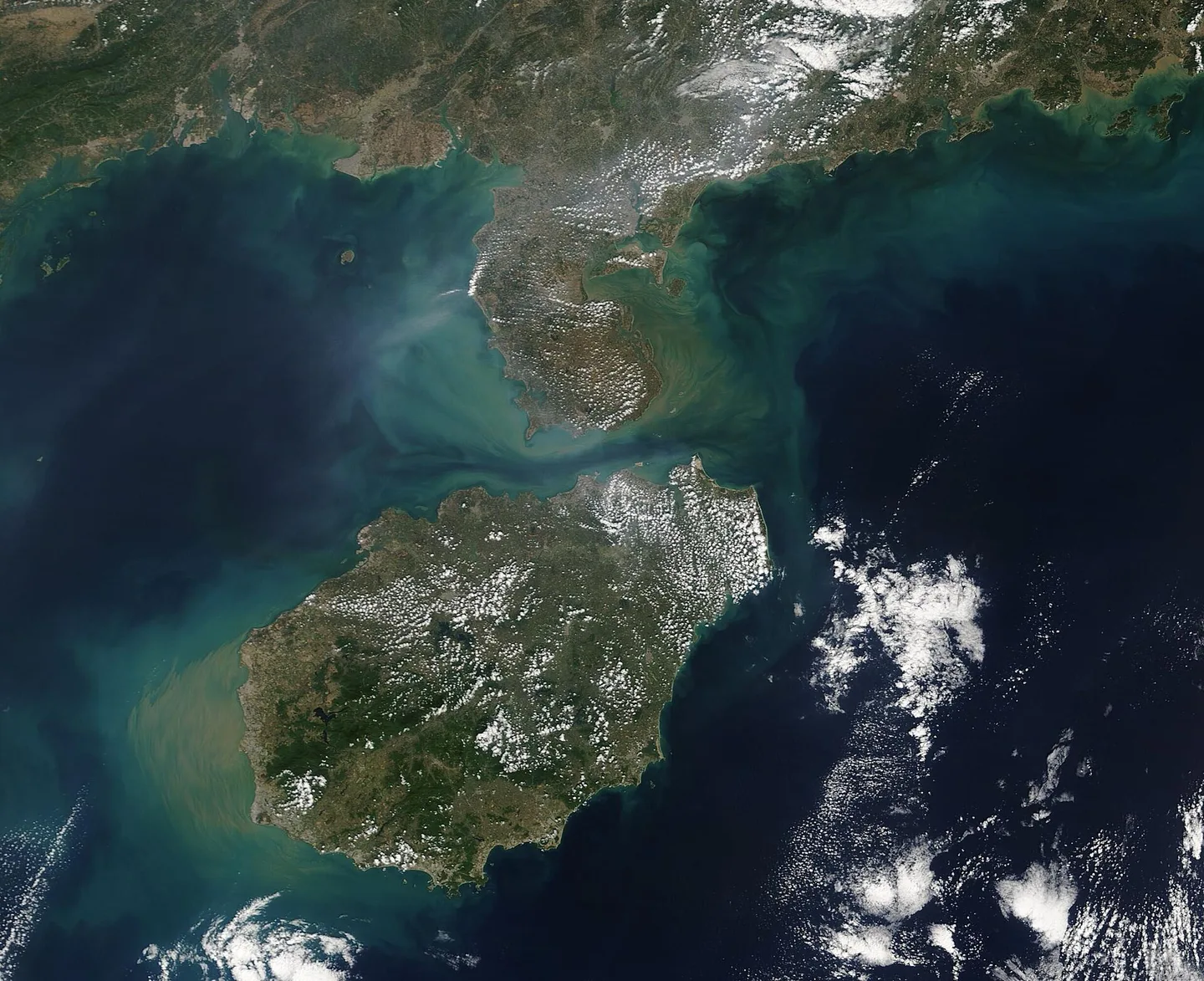 三亚湾椰梦长廊与海湾