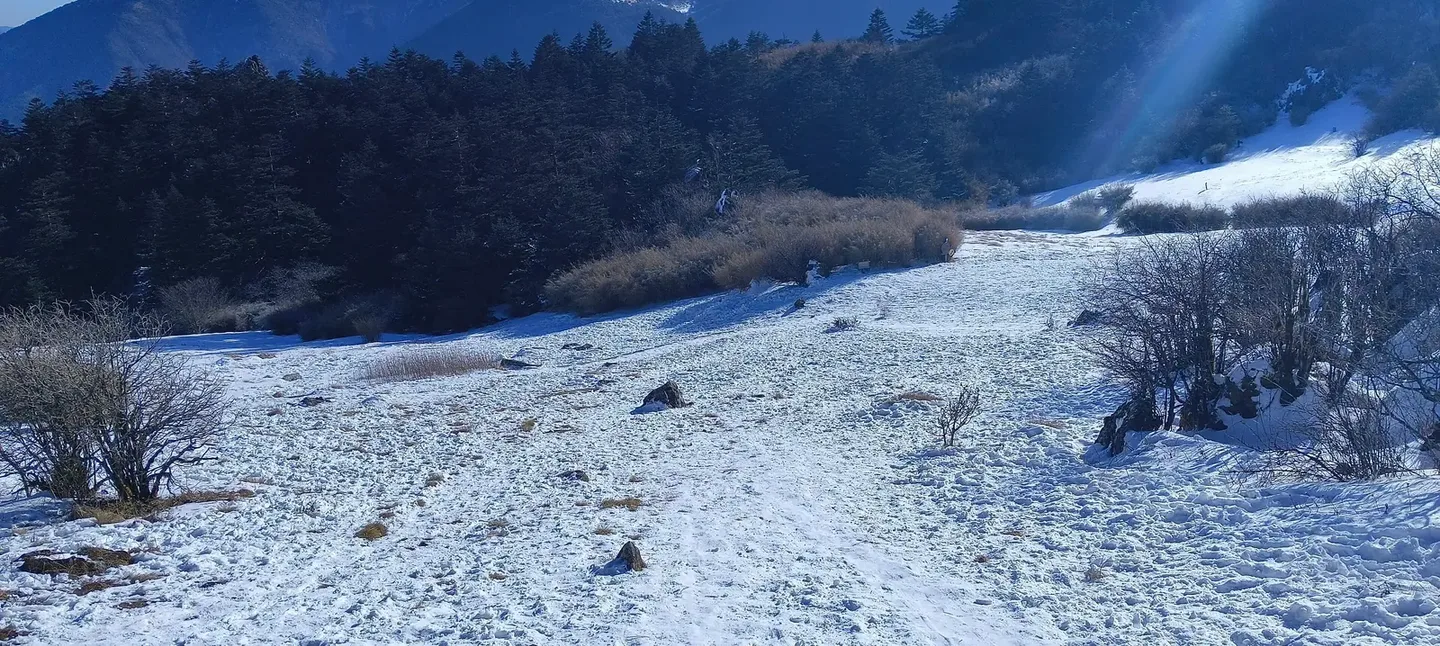 陕鄂甘滑雪场怎么选：太白鳌山与神农架 1