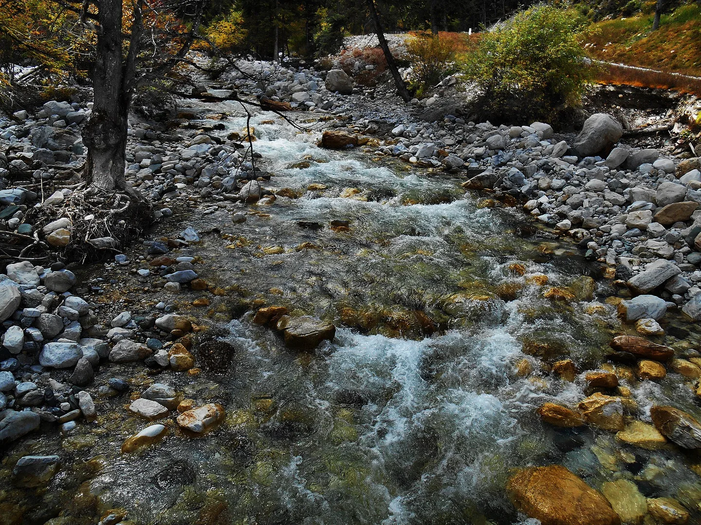 稻城方向的秋色山林与高原风景