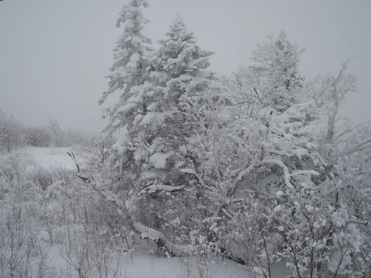东北滑雪场怎么选：亚布力、北大湖与长白山 2