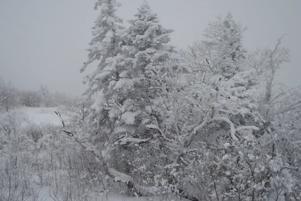 东北滑雪场怎么选：亚布力、北大湖与长白山 2