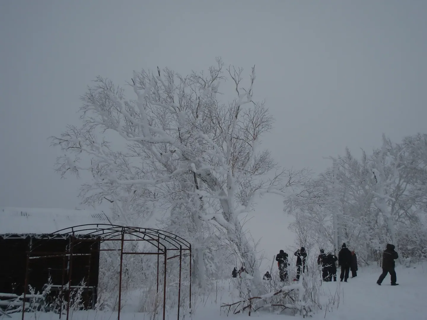 缆车与雪道旁的滑雪者