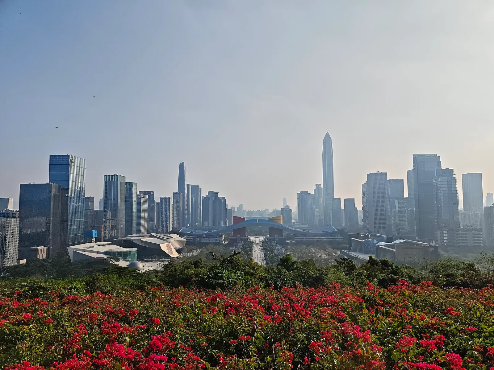 第一次去深圳：现代中国、市场与香港衔接封面