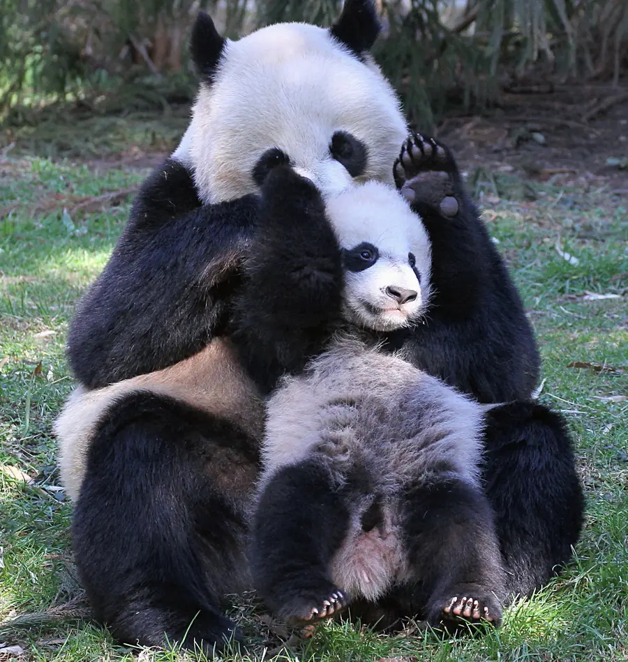 亲子研学